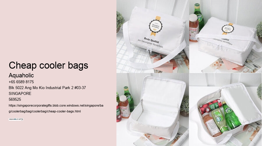 cheap cooler bags