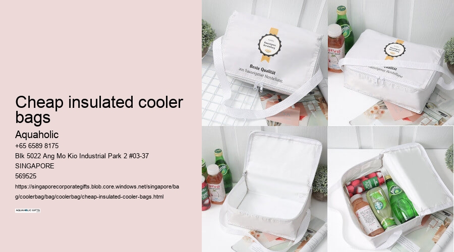 cheap insulated cooler bags