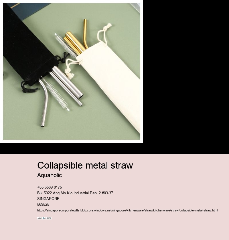 collapsible metal straw