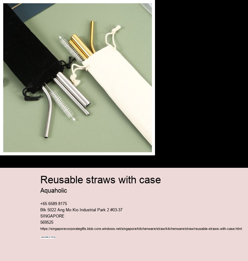 reusable straws with case